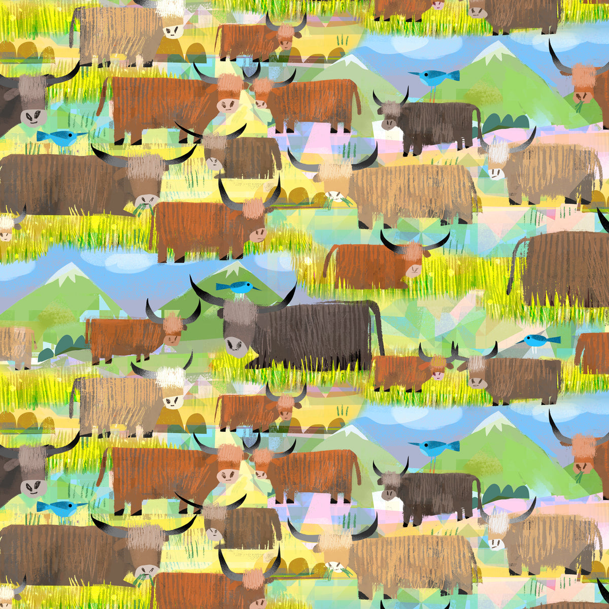 Animal Kingdom - Highland Cows - Grasslands