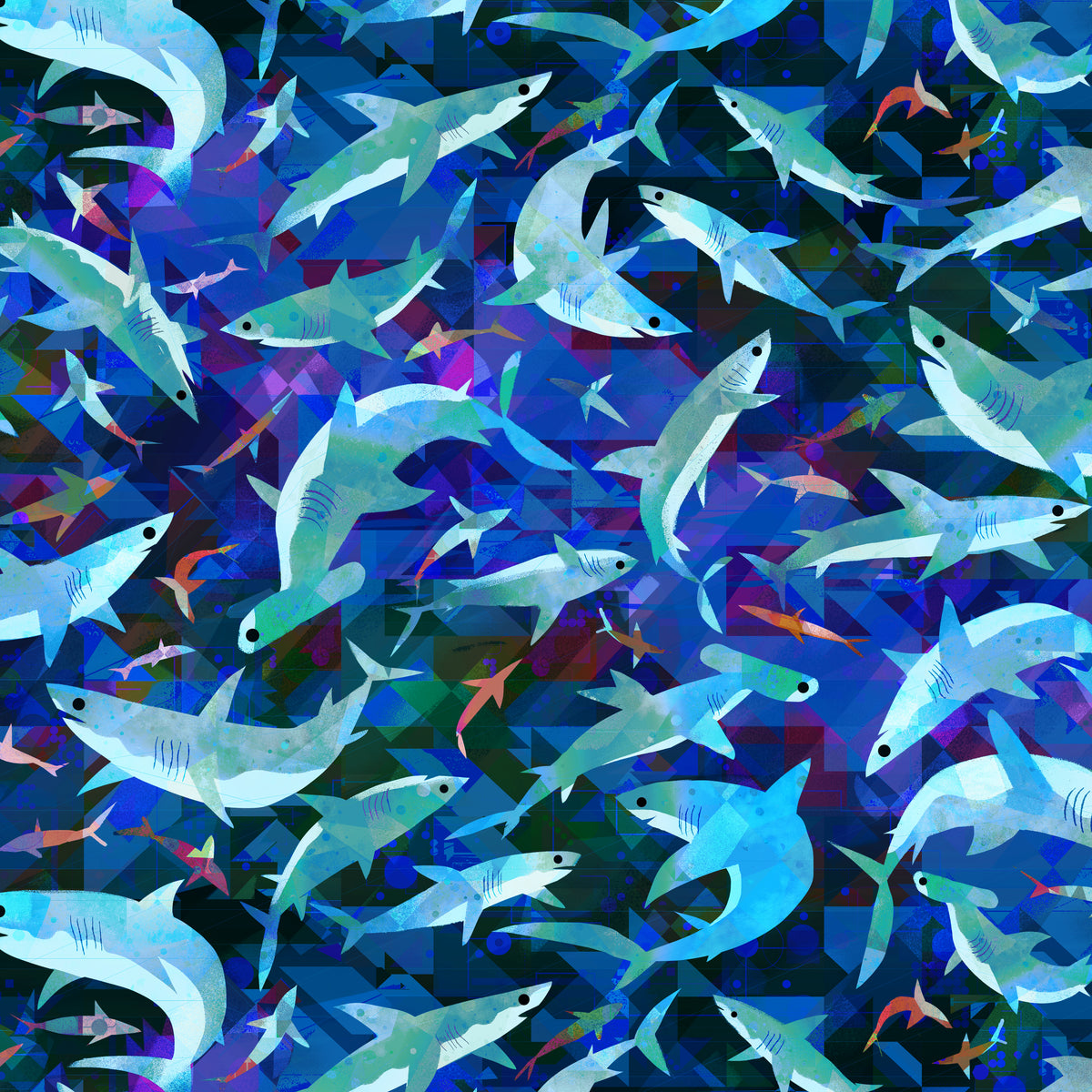 Animal Kingdom - Stealthy Sharks - Midnight Blue