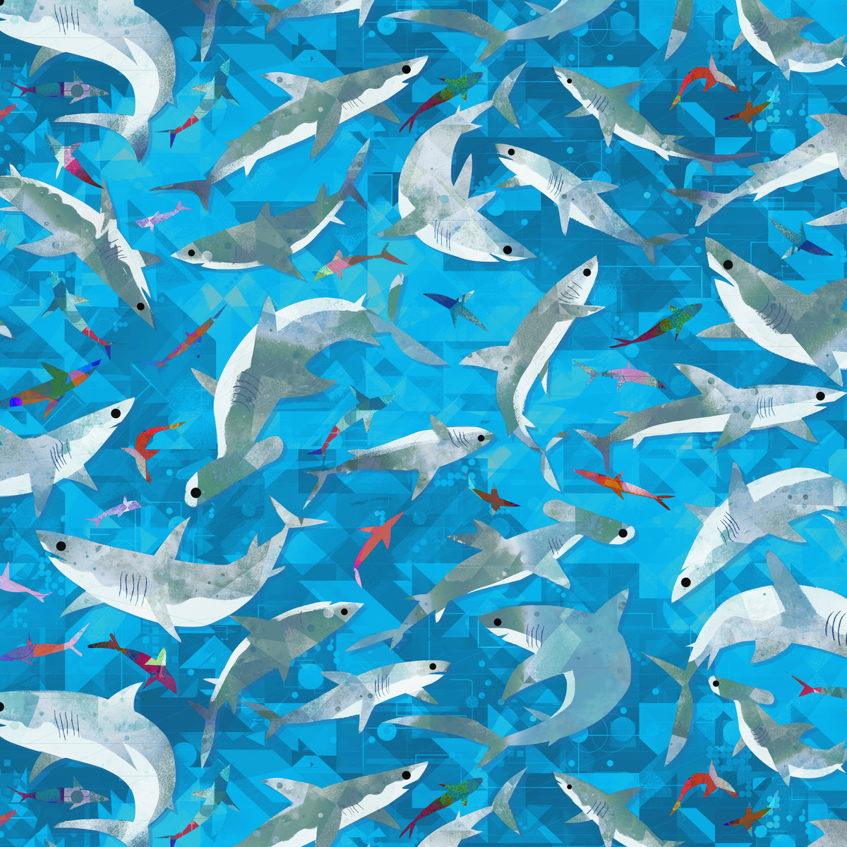 Animal Kingdom - Stealthy Sharks - Cyan
