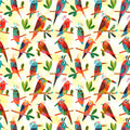 Animal Kingdom - Exotic Birds - Morning Light