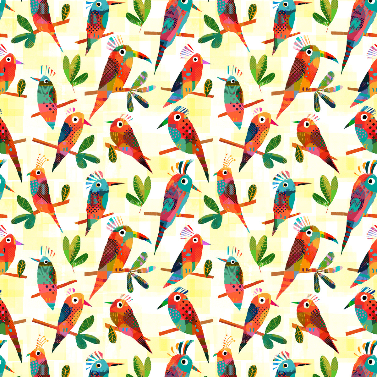 Animal Kingdom - Exotic Birds - Morning Light