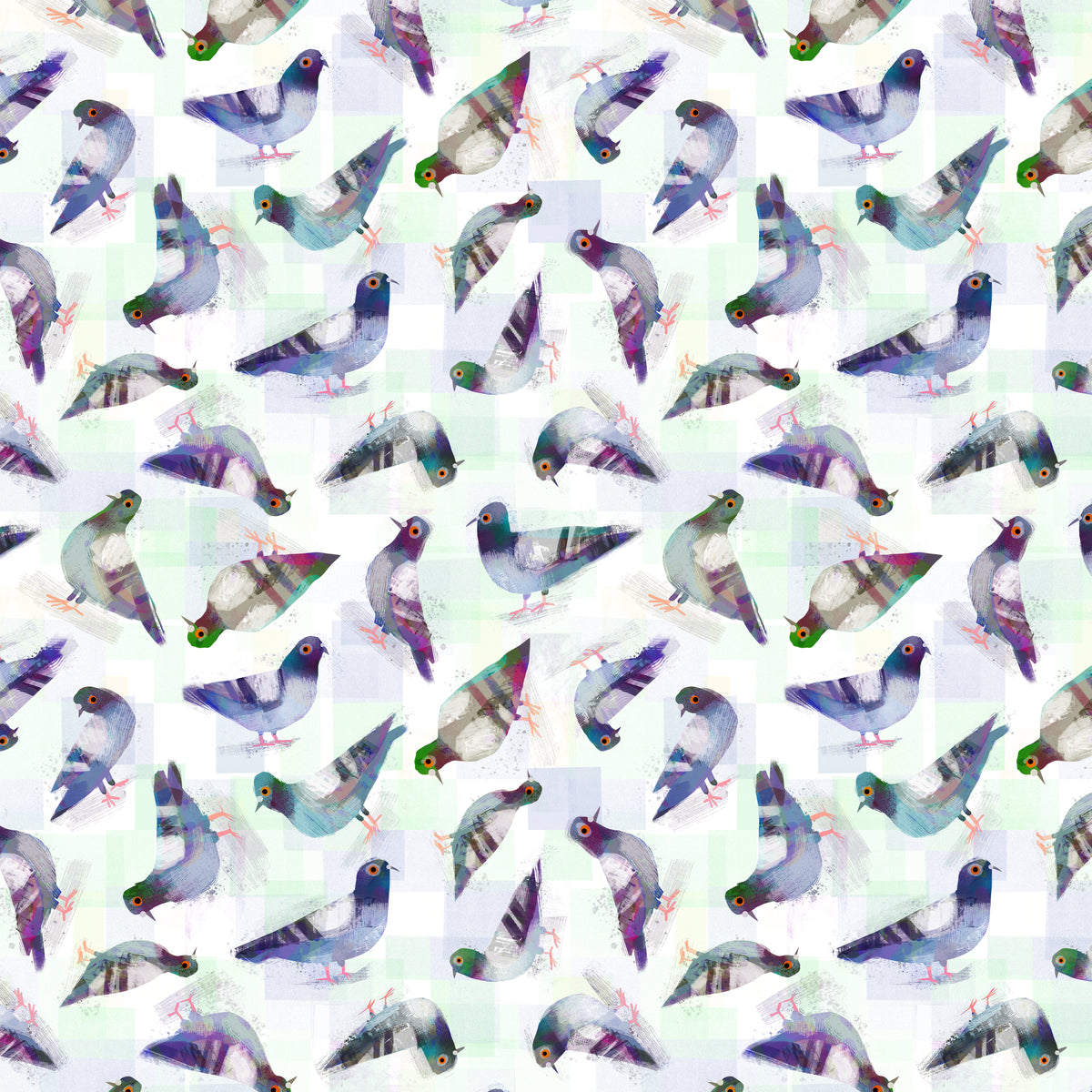 Animal Kingdom - Pigeon Pals - White