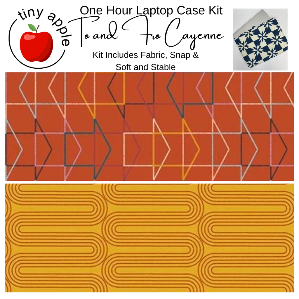 Kit:  One Hour Laptop To and Fro Cayenne