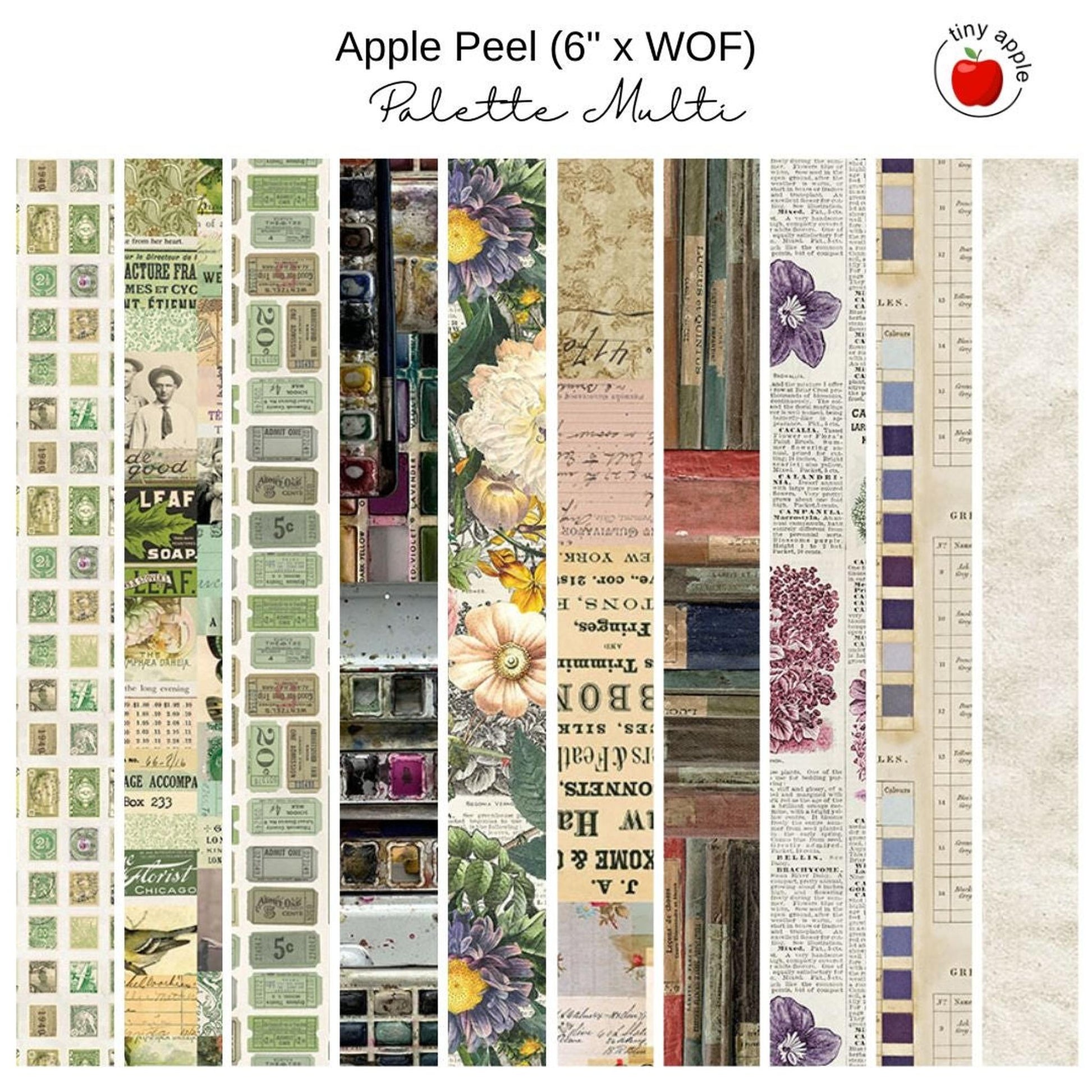 6" Apple Peels (10) - Palette Multi by Tim Holtz