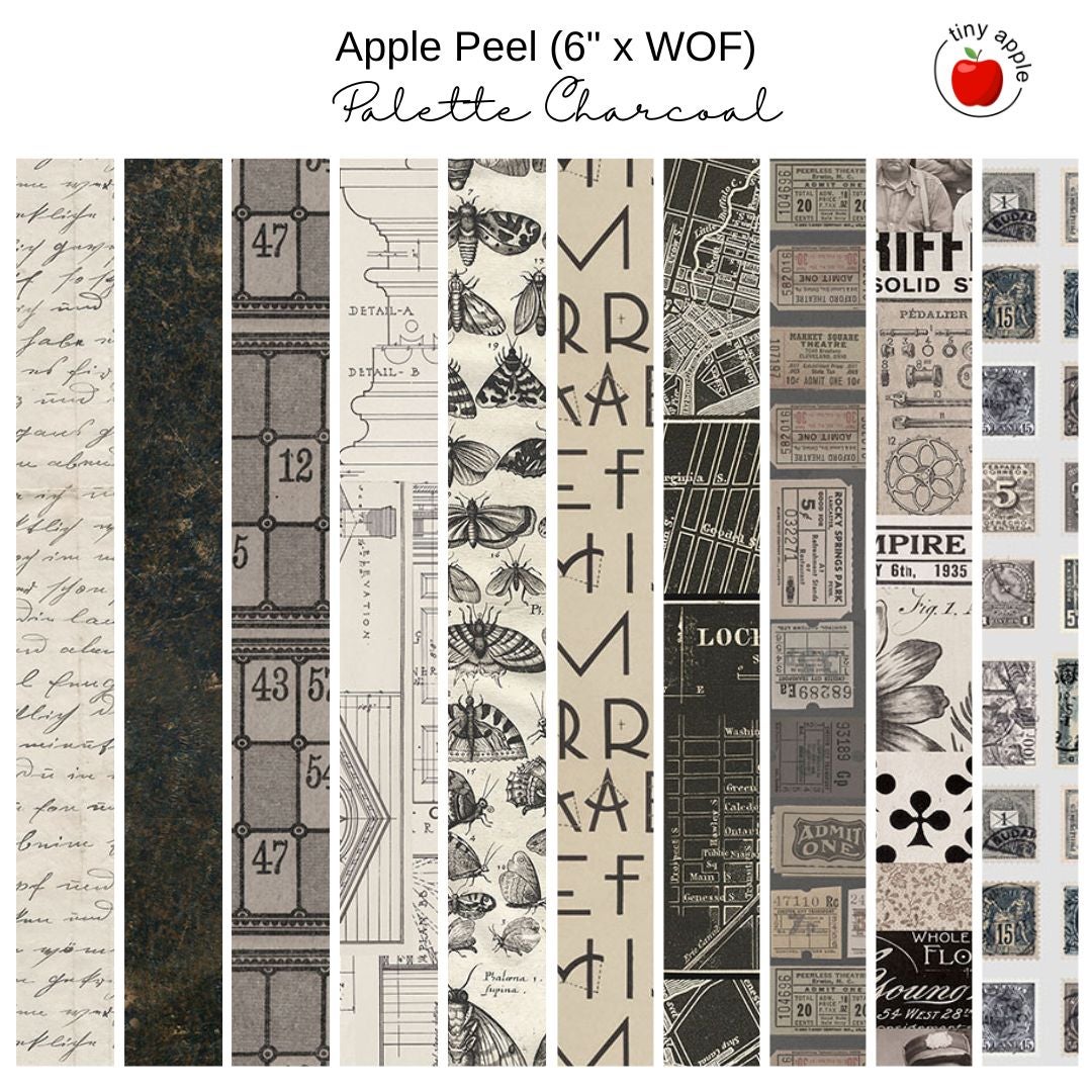 6" Apple Peels (10) - Palette Charcoal by Tim Holtz