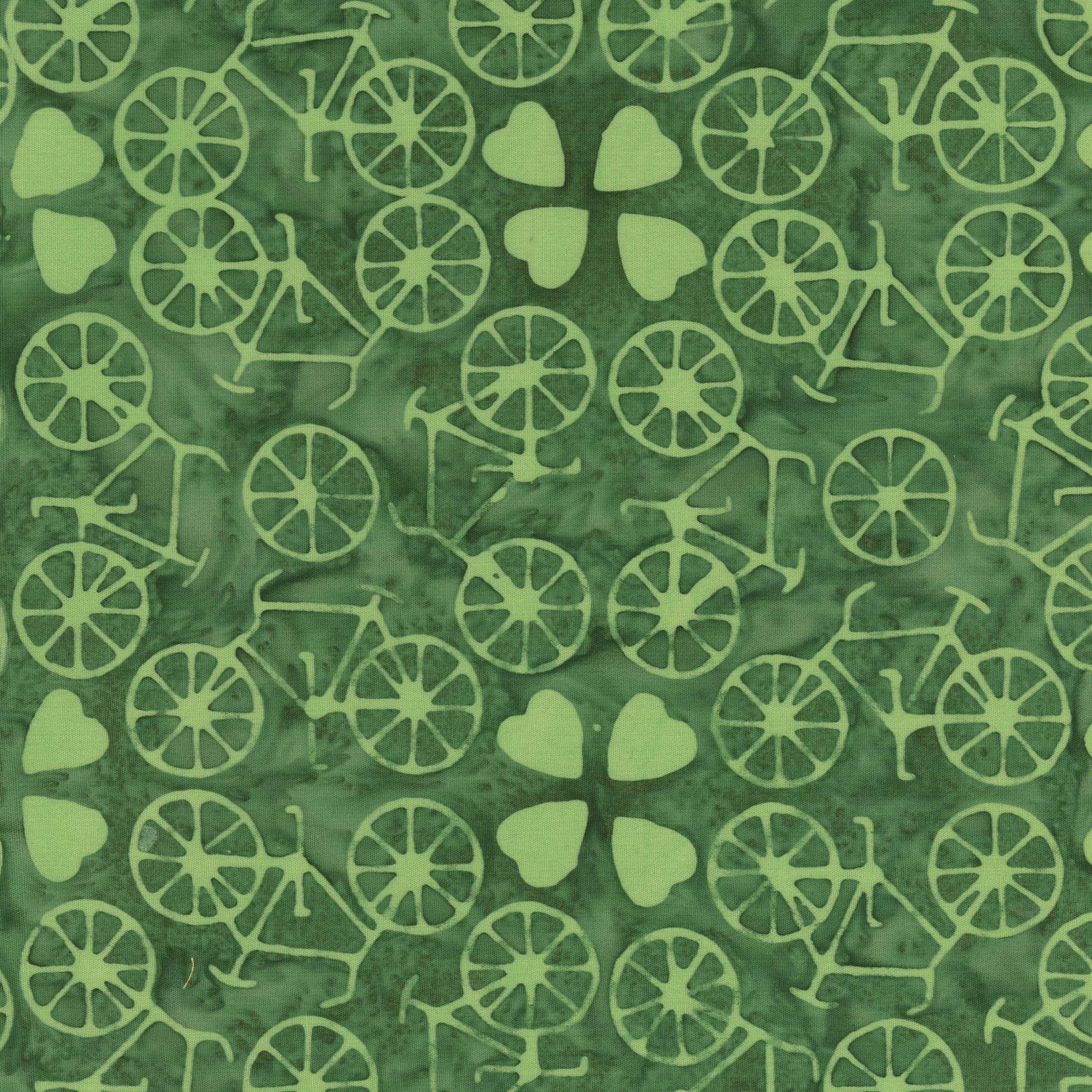 Dutch Days - Bicycle Love - Envy
