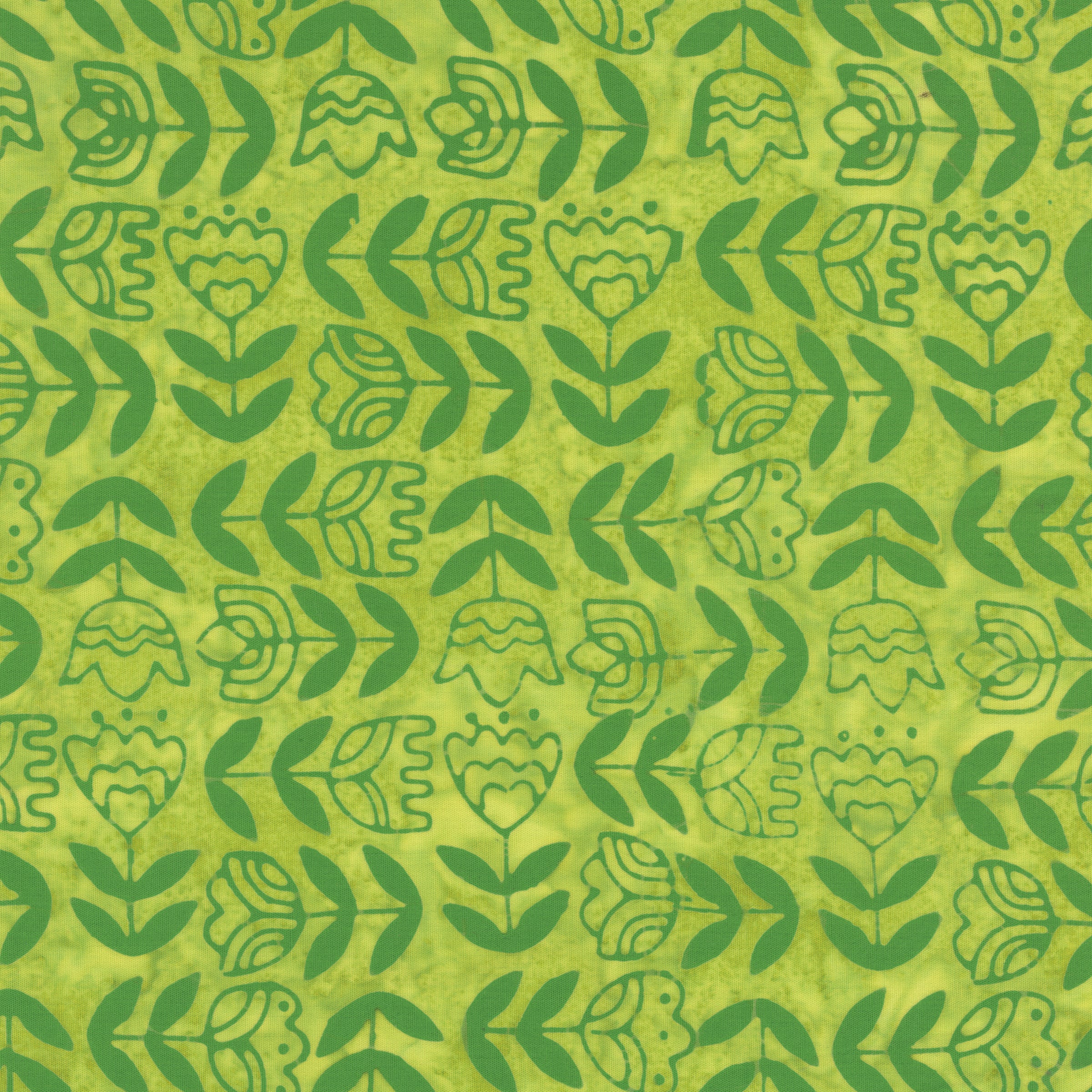Dutch Days - Tulip Study - Sprout
