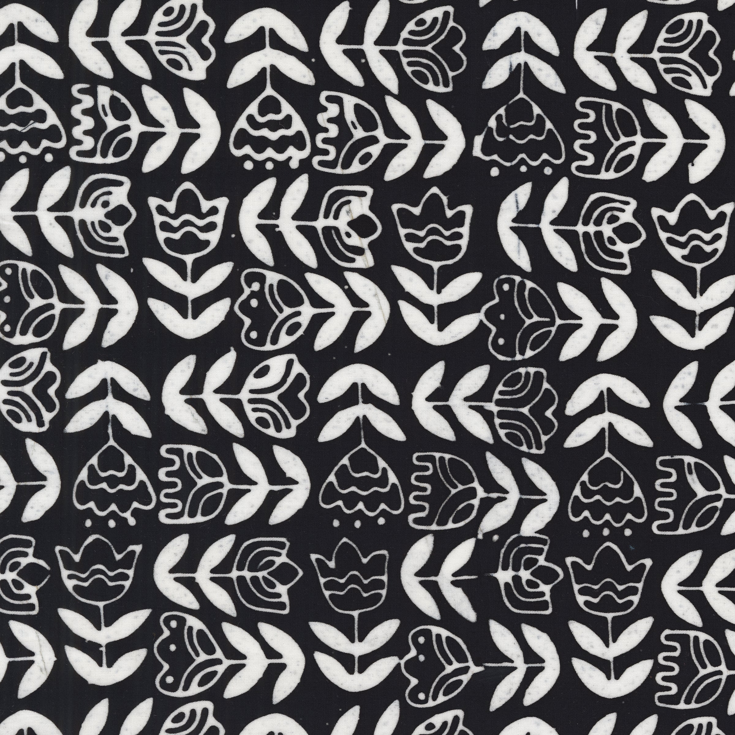 Dutch Days - Tulip Study - Tuxedo