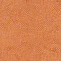 Dutch Days - Stroopwafel - Clementine