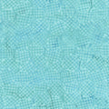 Dutch Days - Stroopwafel - Celeste