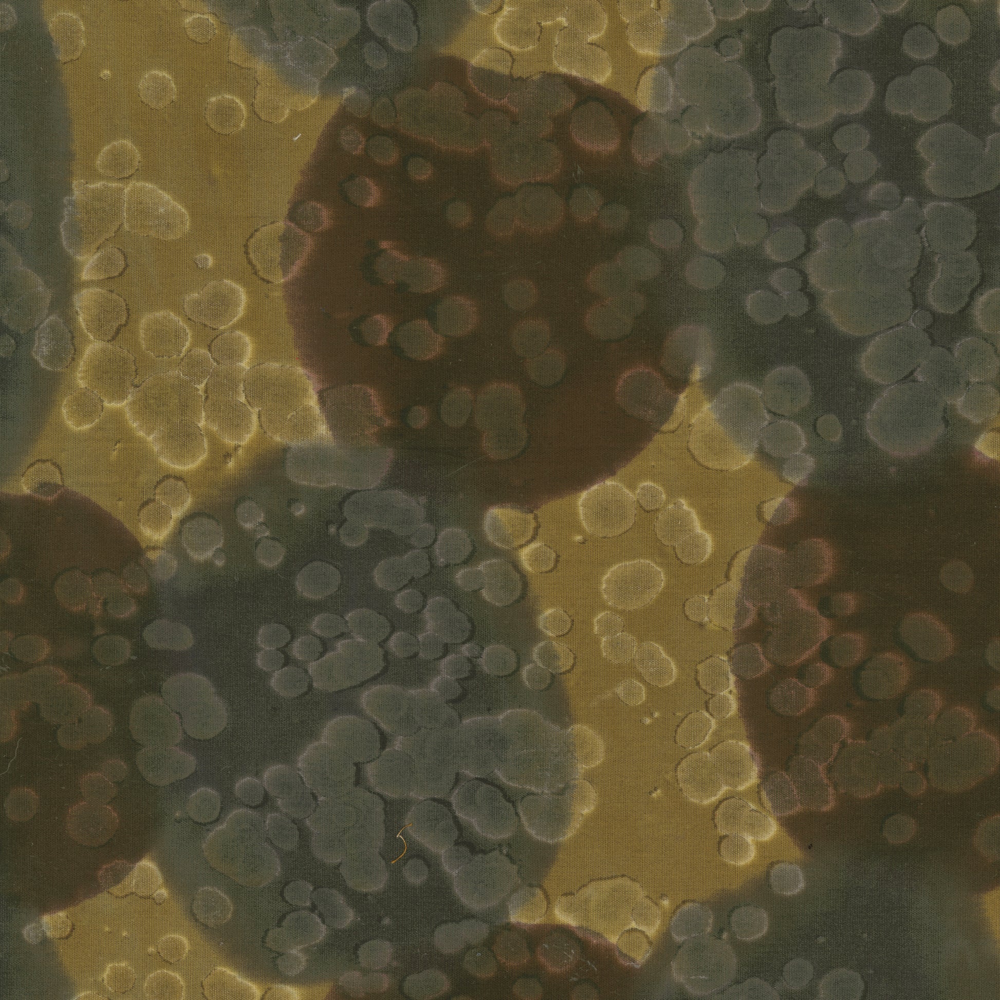 Daydream Acid Wash Rustic