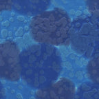 Daydream Acid Wash Blue Opal