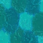 Daydream Acid Wash Glacier