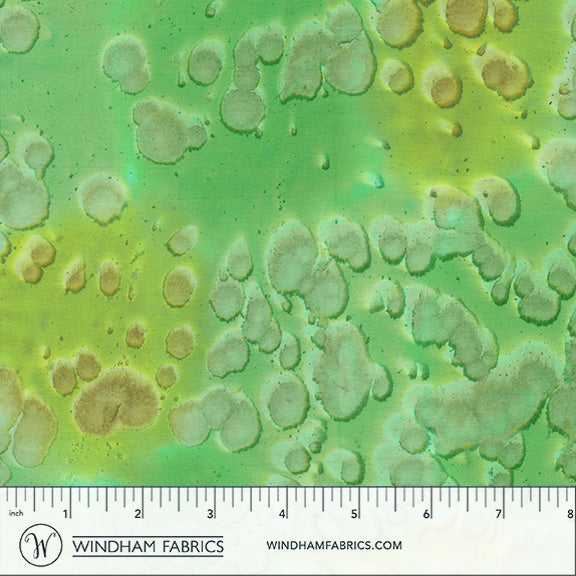 Daydream Acid wash Pasture