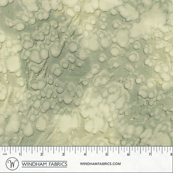 Daydream Acid wash Harmony