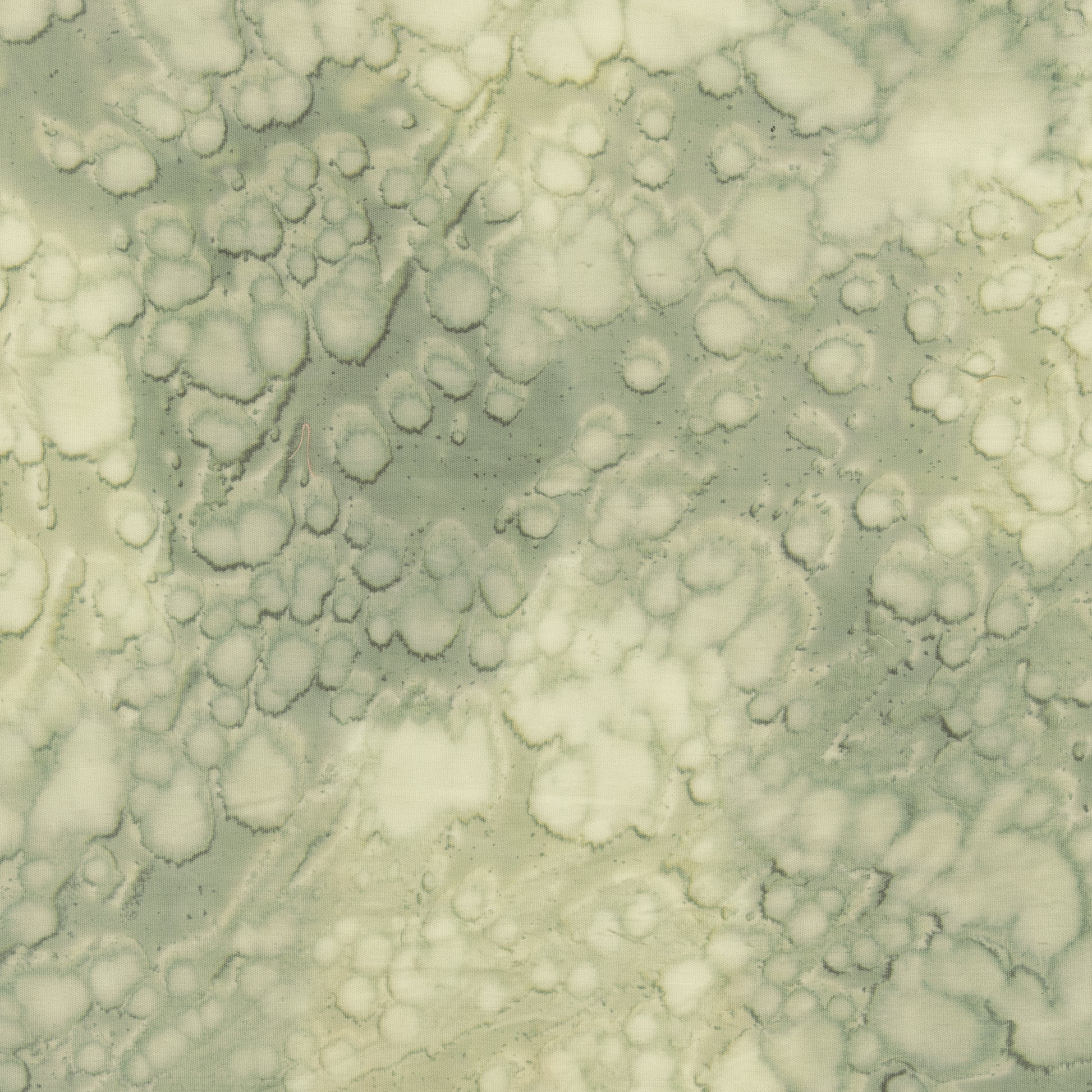 Daydream Acid Wash Harmony