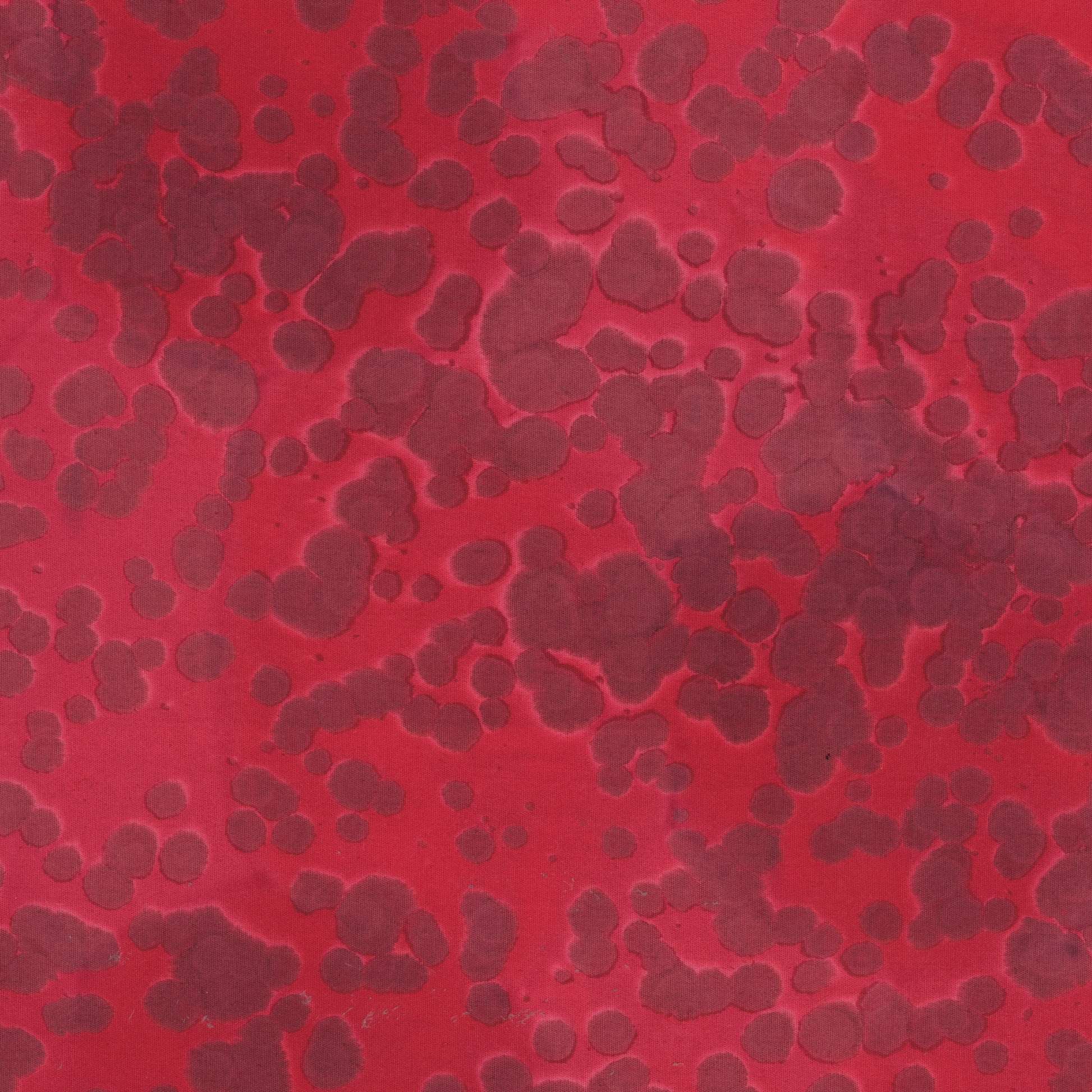 Daydream Acid Wash Venetian Red