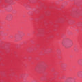 Daydream Acid Wash Hibiscus