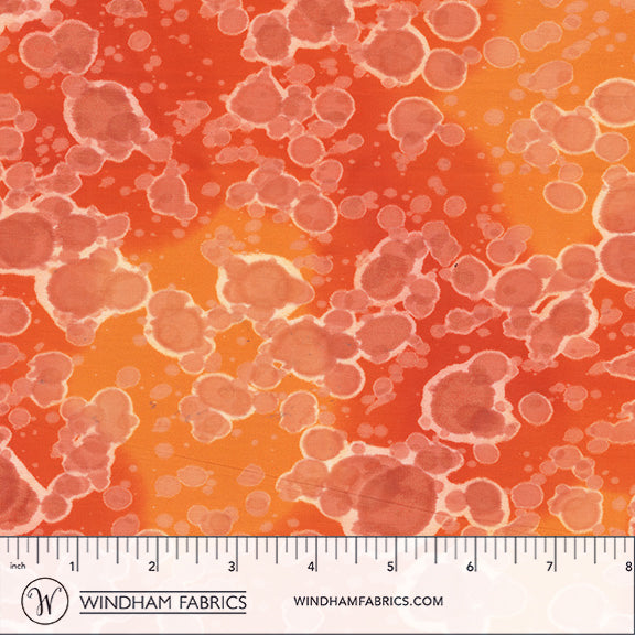 Daydream Acid wash Harvest