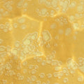 Daydream Acid Wash Straw Yellow