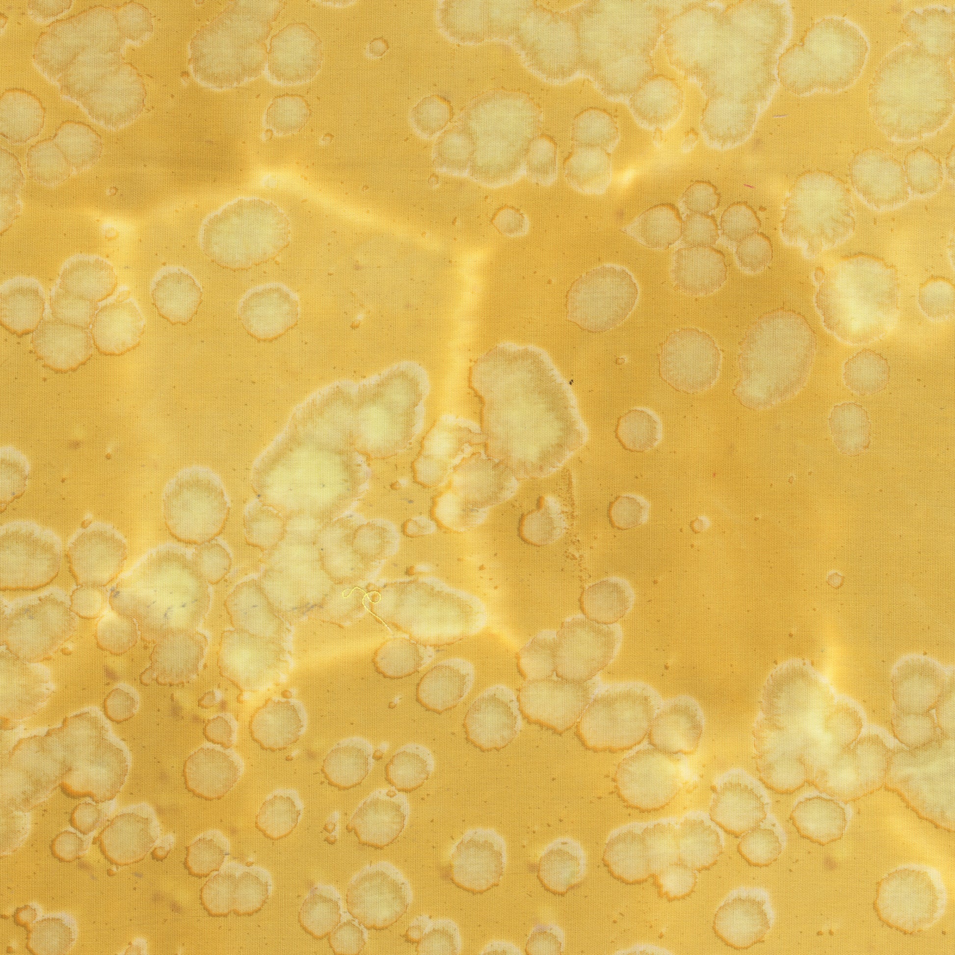 Daydream Acid Wash Straw Yellow