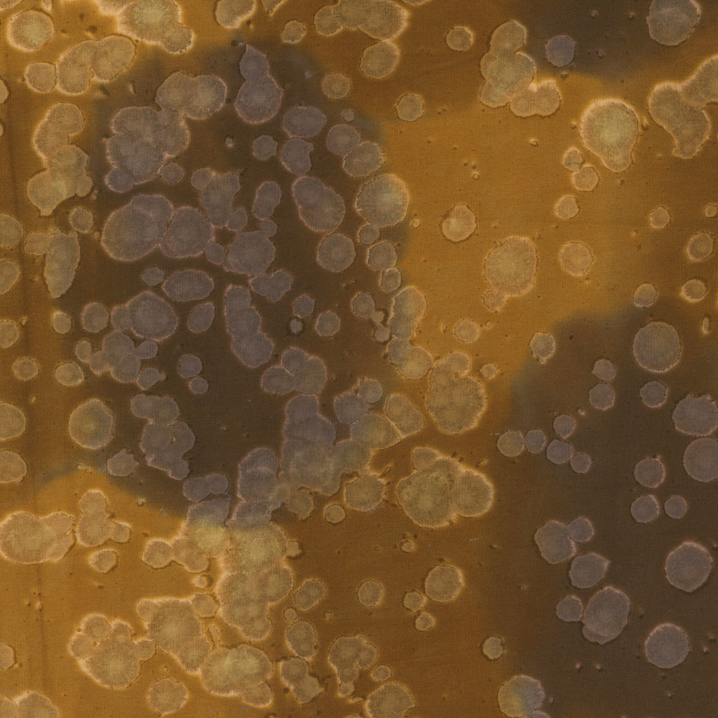 Daydream Acid Wash Chestnut