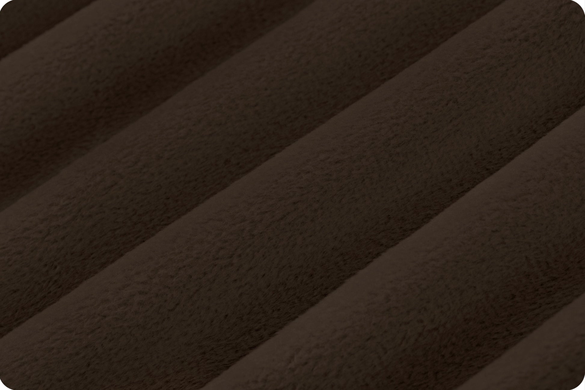 Shannon Cuddle 3 - Cofee