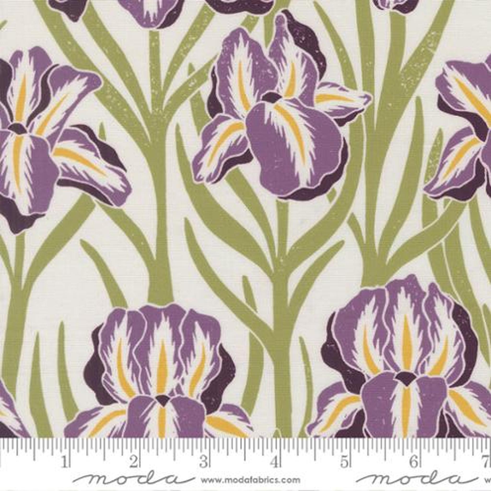 Garden Series Iris Large Floral - Cream