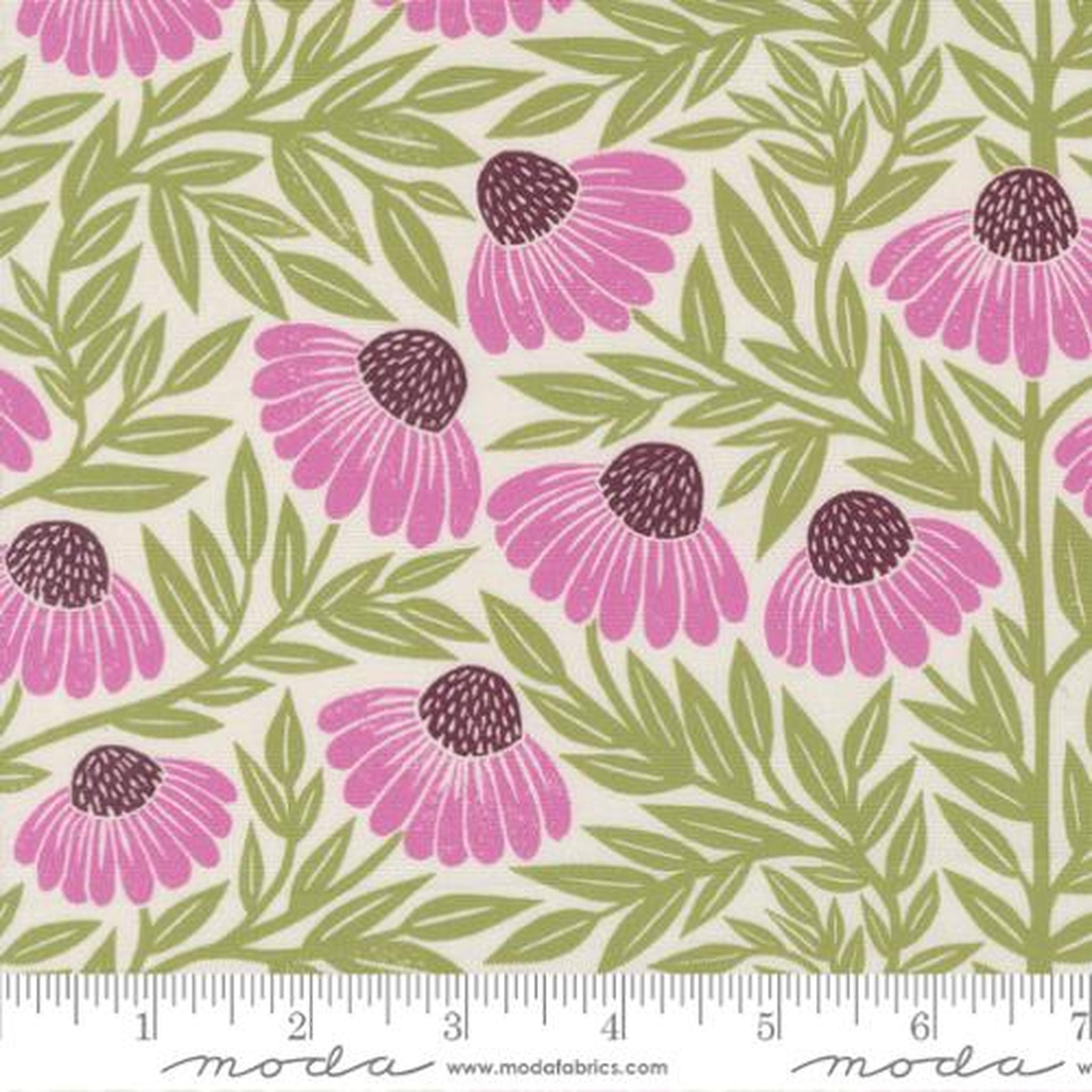 Garden Series Echinacea Large Floral - Cream