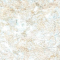 Hoffman Fabrics - Dot Batiks - Harbor