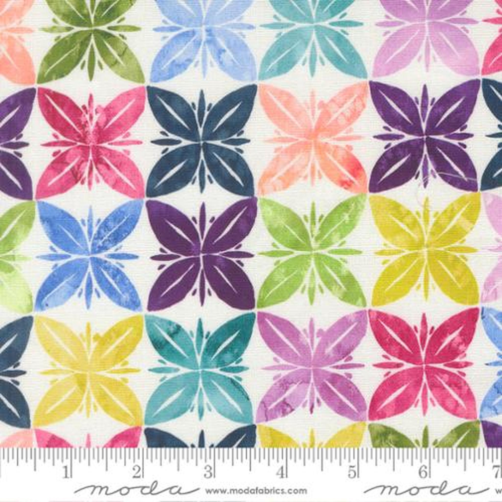 Soulstice Slow Stroll Canvas - Rainbow