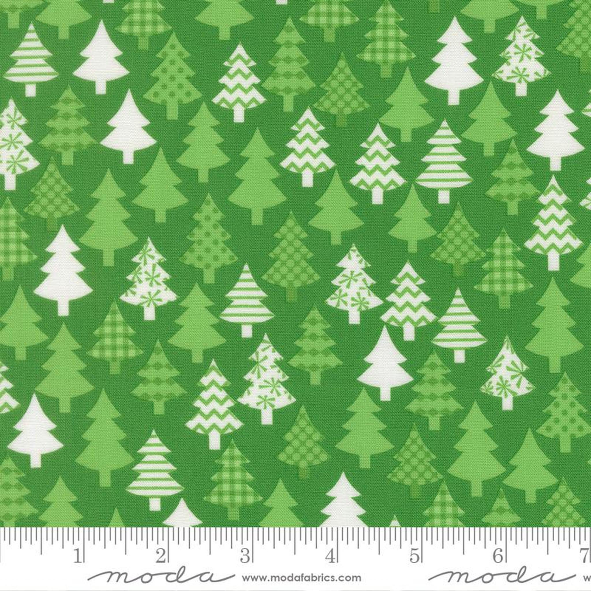 Snow Time - Christmas Trees - Evergreen