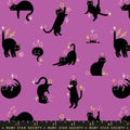 Freaky Familiars - Catwalk - Witchy