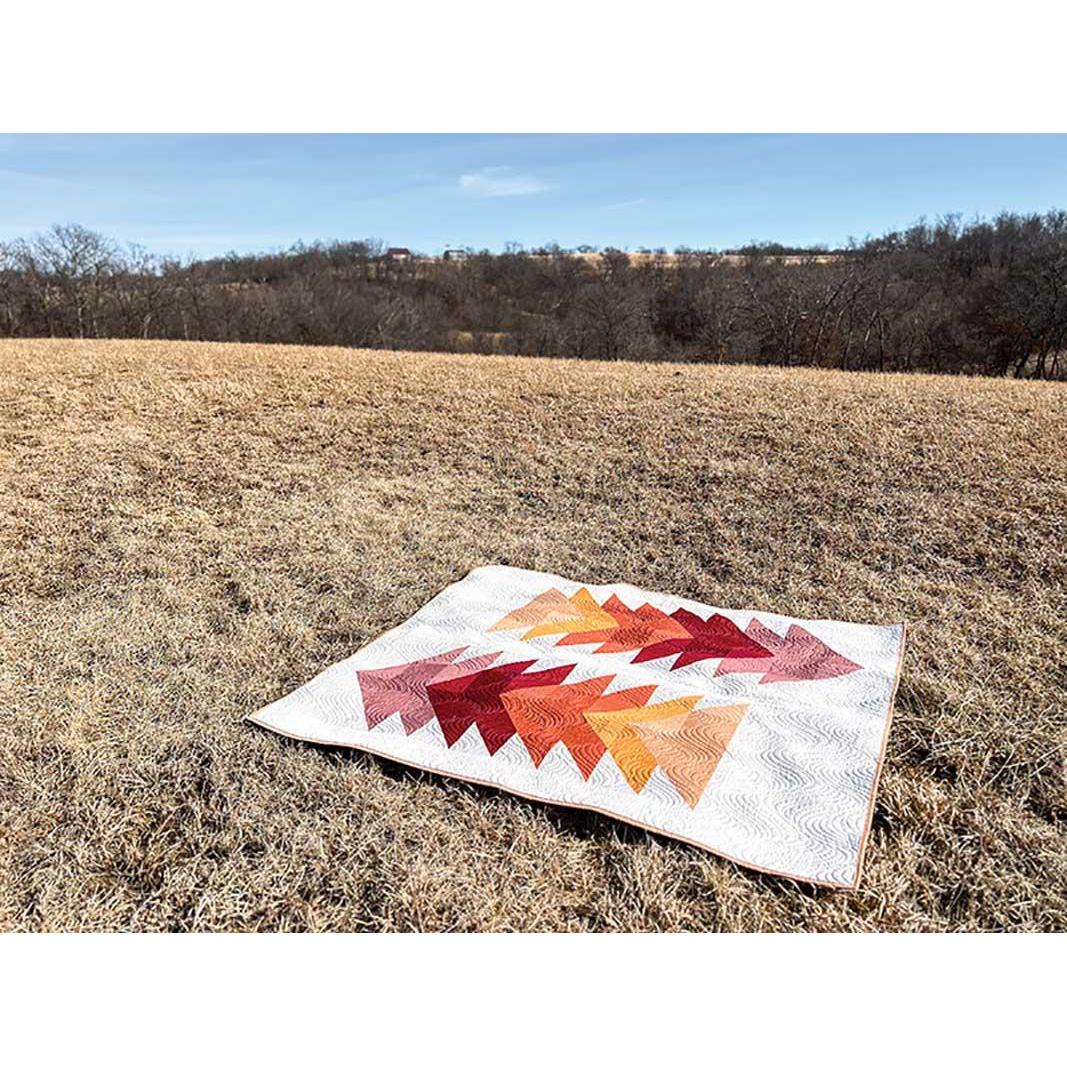 Cozy Quilts for the Modern Home