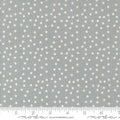 Maker's Delight - Small Dots - Platinum