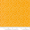 Maker's Delight - Small Dots - Chrome