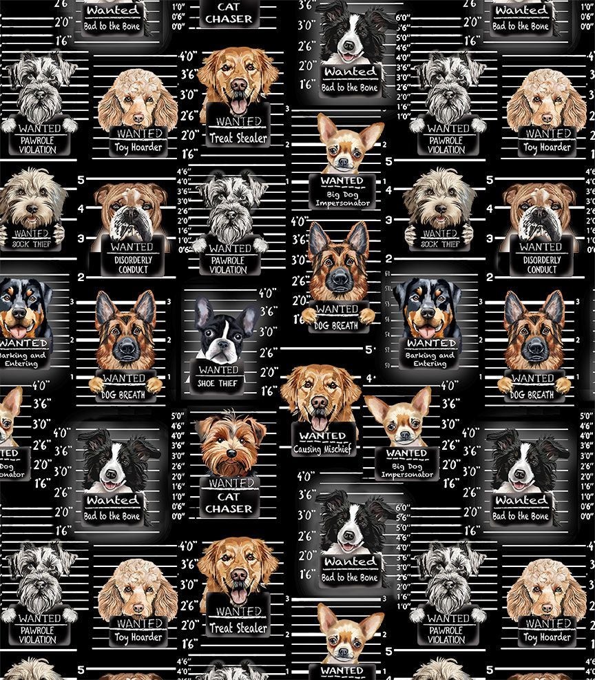 Dog Mugshots