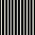 Transylvania Glow by Lewis & Irene - Terrifying ticking stripe on black
