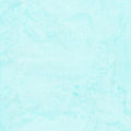 All MN Shop Hop Fabric 2025 - Blender - Icicle