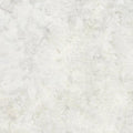 All MN Shop Hop Fabric 2025 - Blender Oyster