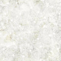All MN Shop Hop Fabric 2025 - Swirls Neutral