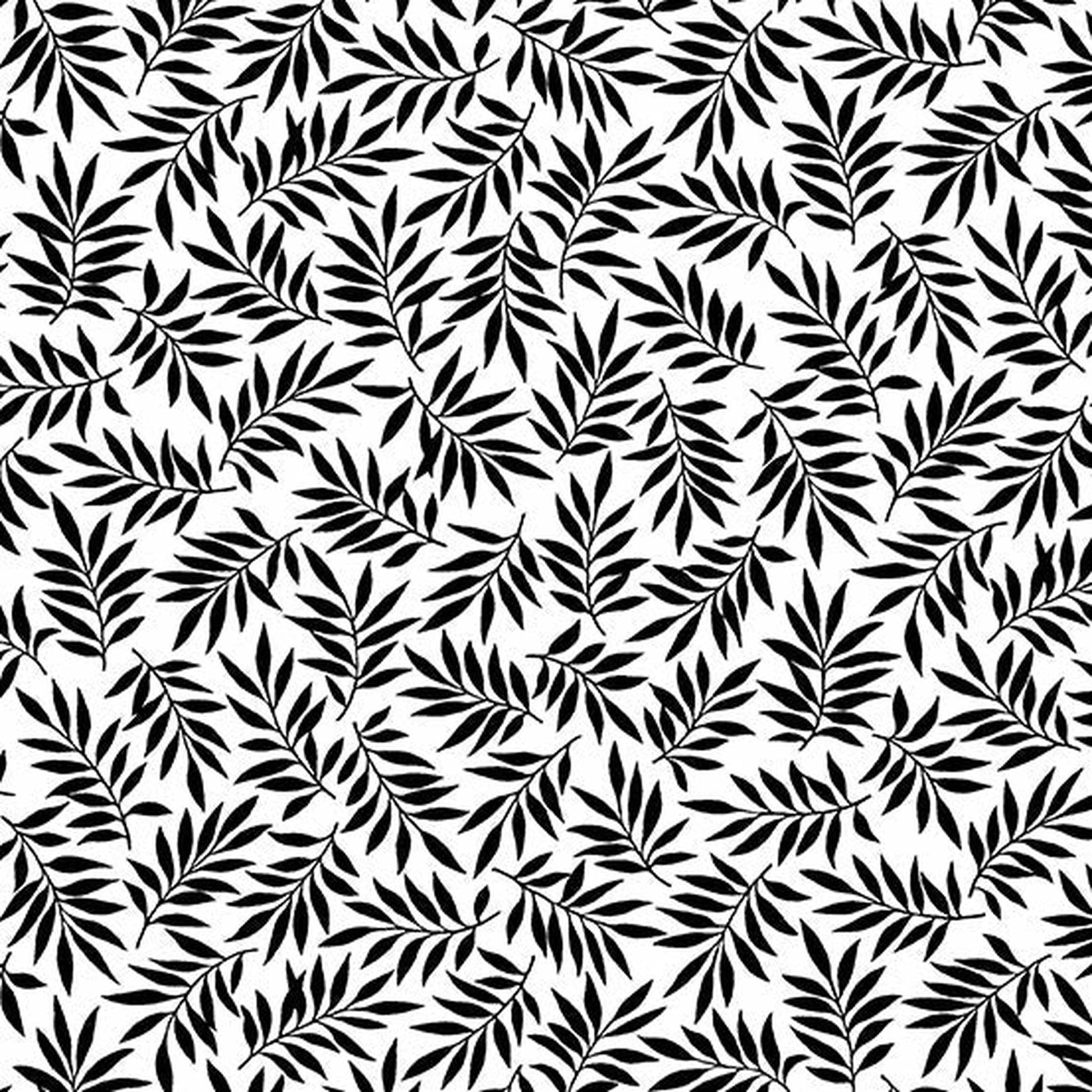 Andover Century Black on White Ferns