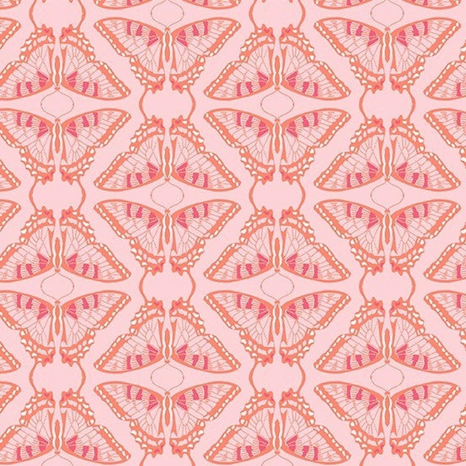 Andover - Swallowtail - Tonal Blush