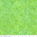 Expressions Batik by Riley Blake - Swirl the Rainbow - Green Apple