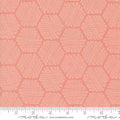 Bee Garden by Gingiber - Honeycomb Geometrics: Carnation