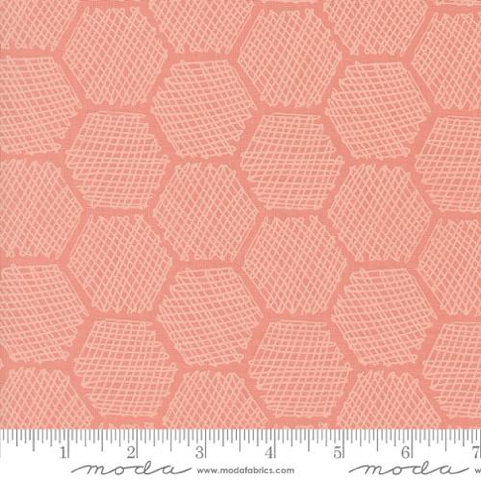 Bee Garden by Gingiber - Honeycomb Geometrics: Carnation