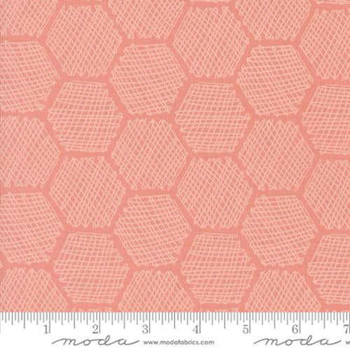 Bee Garden by Gingiber - Honeycomb Geometrics: Carnation