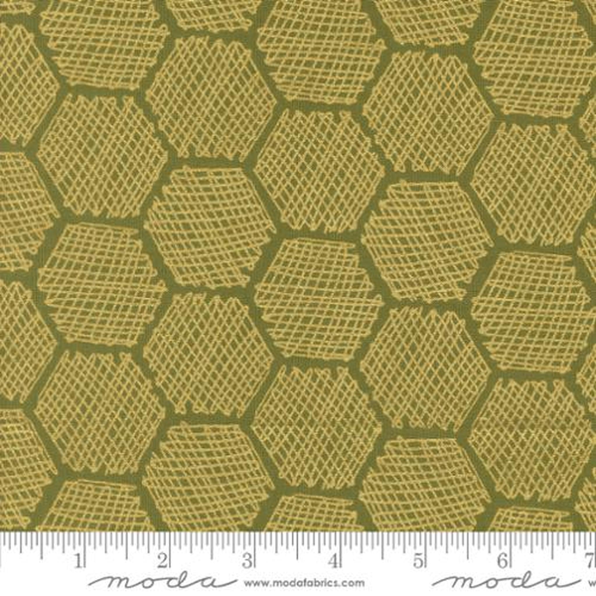 Bee Garden by Gingiber - Honeycomb Geometrics: Ivy