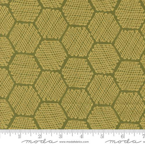 Bee Garden by Gingiber - Honeycomb Geometrics: Ivy