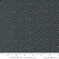 Blackbirds Nest by Kansas Troubles Quilters Nesting: Black